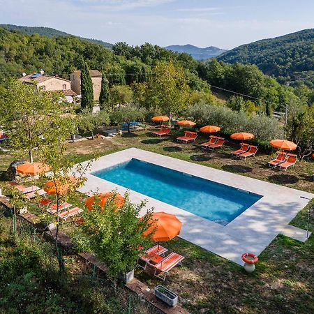 Agriturismo Santa Caterina Кастельнуово-ди-Валь-ди-Чечина Экстерьер фото
