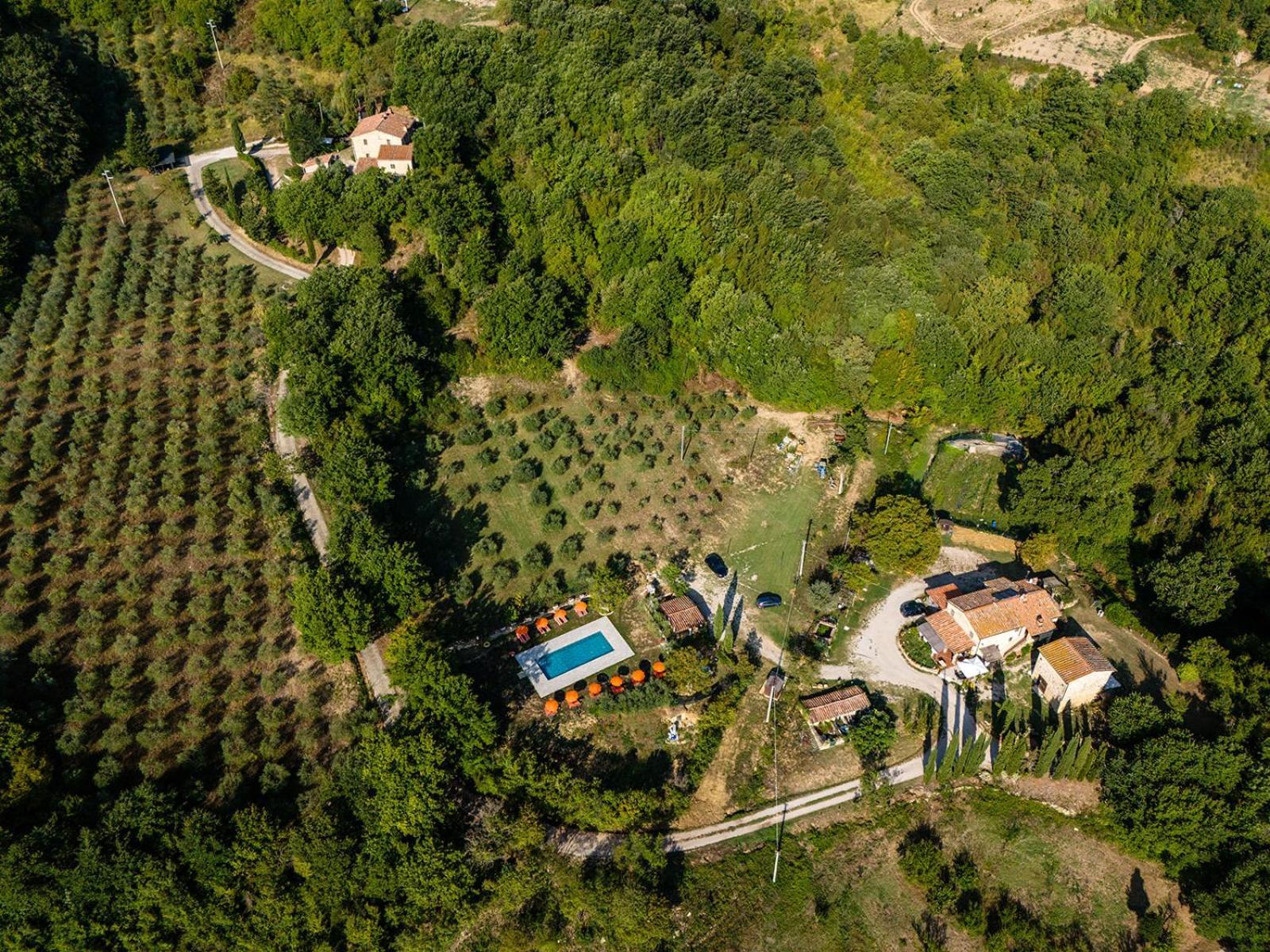 Agriturismo Santa Caterina Кастельнуово-ди-Валь-ди-Чечина Экстерьер фото
