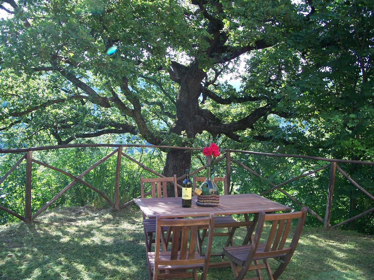 Agriturismo Santa Caterina Кастельнуово-ди-Валь-ди-Чечина Экстерьер фото
