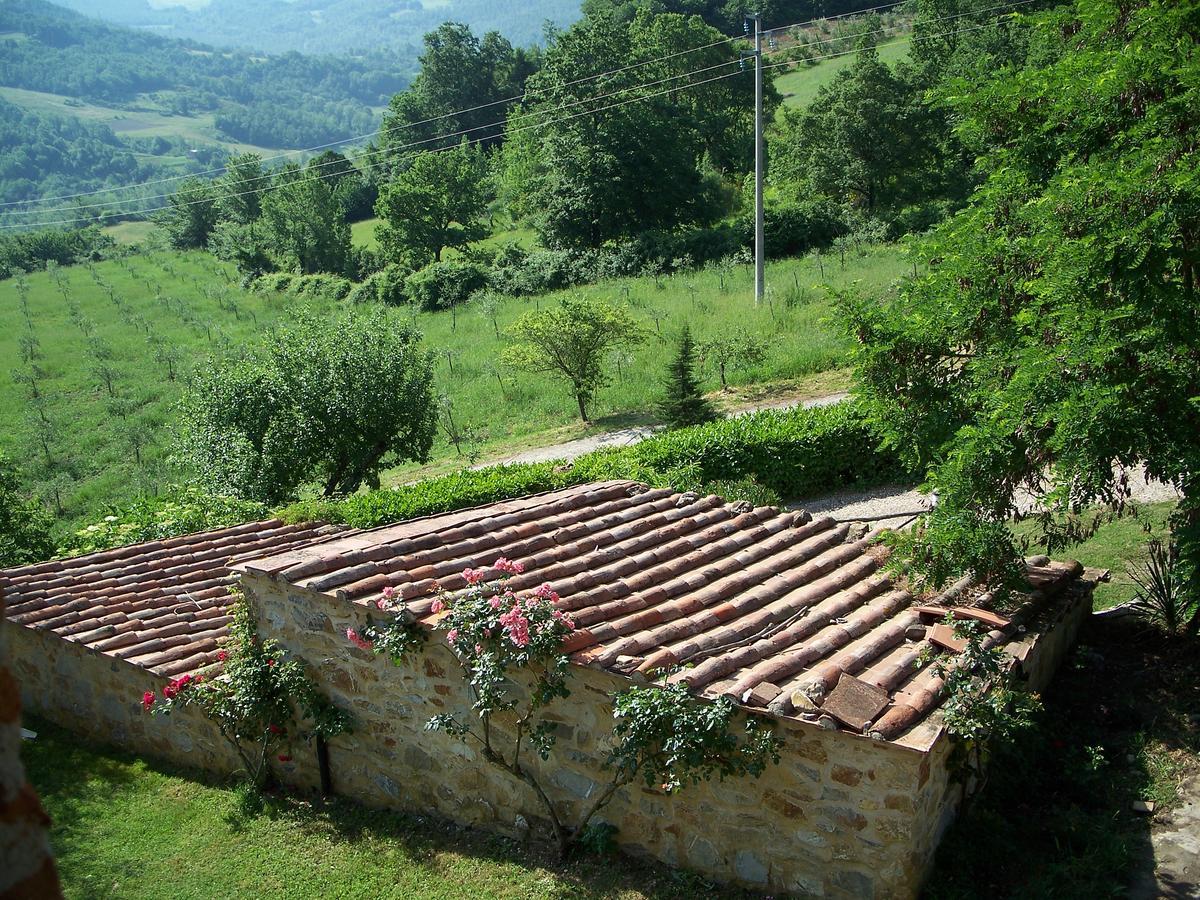 Agriturismo Santa Caterina Кастельнуово-ди-Валь-ди-Чечина Экстерьер фото