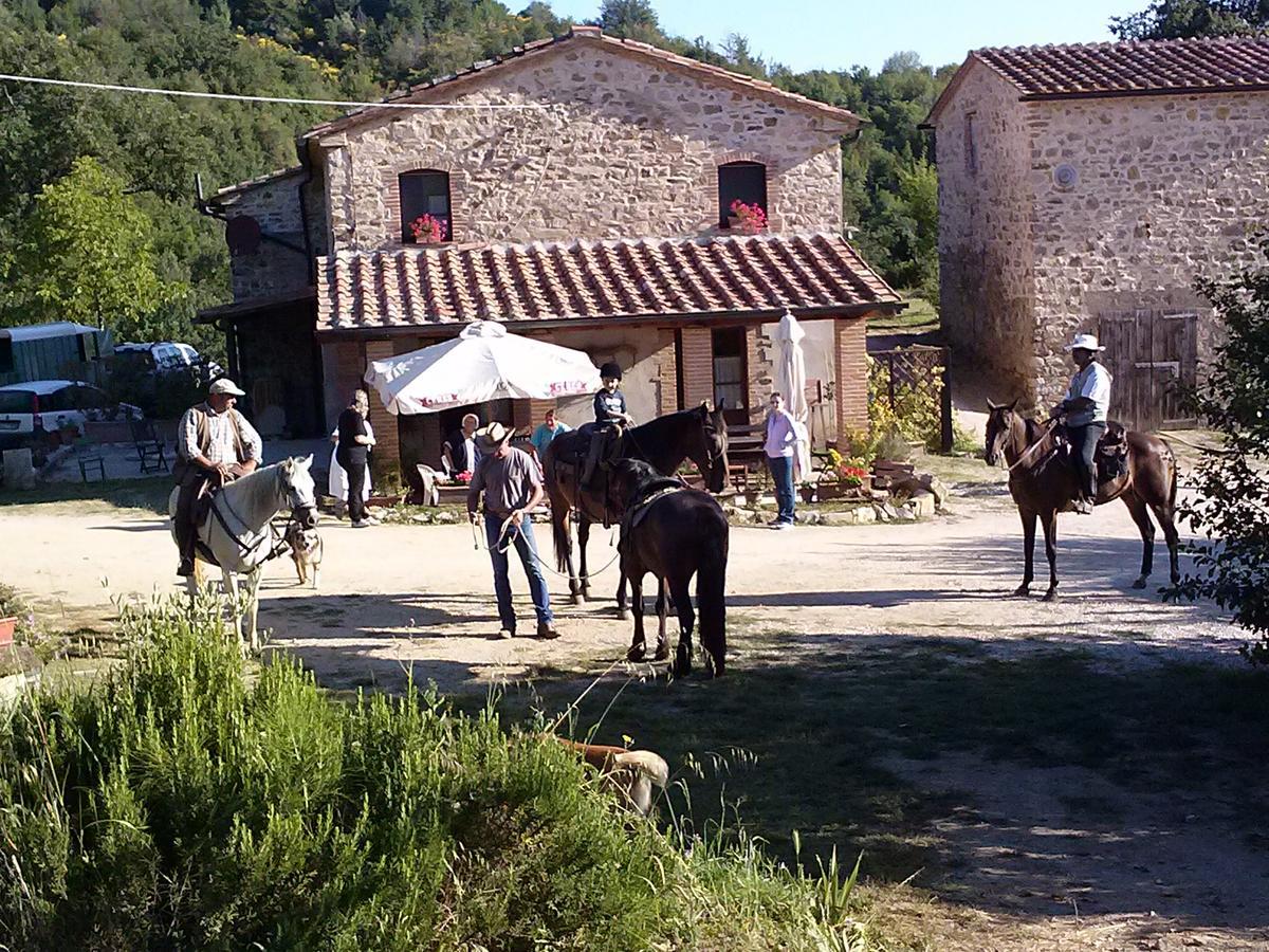 Agriturismo Santa Caterina Кастельнуово-ди-Валь-ди-Чечина Экстерьер фото