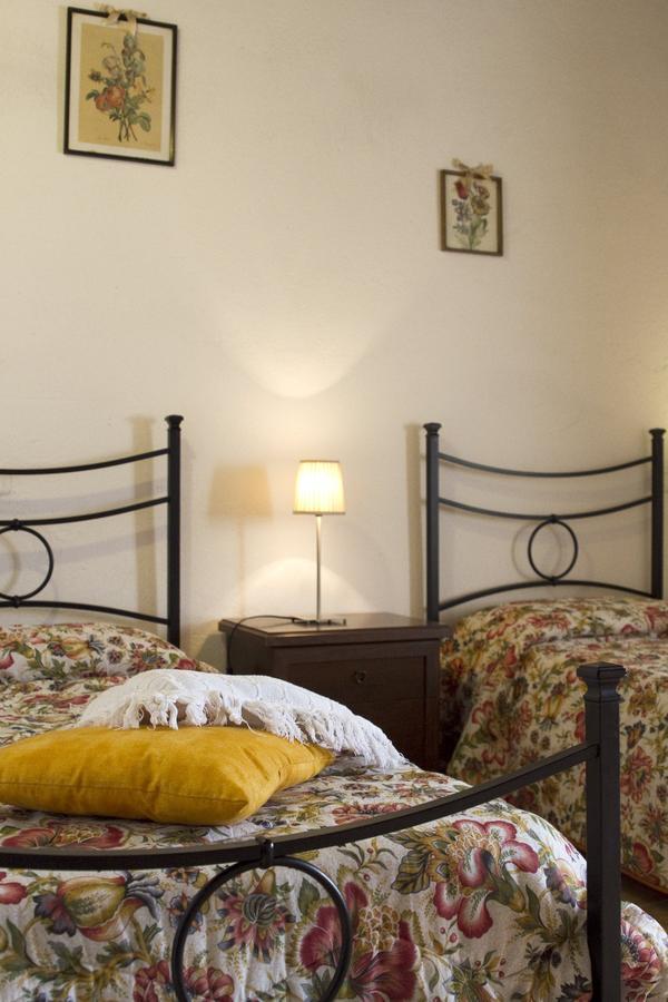 Agriturismo Santa Caterina Кастельнуово-ди-Валь-ди-Чечина Номер фото
